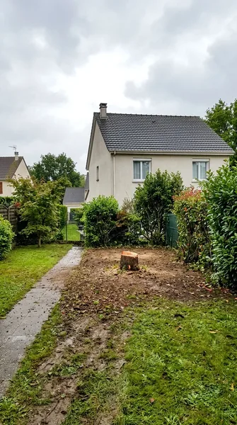 Abattage d'arbre Orléans
